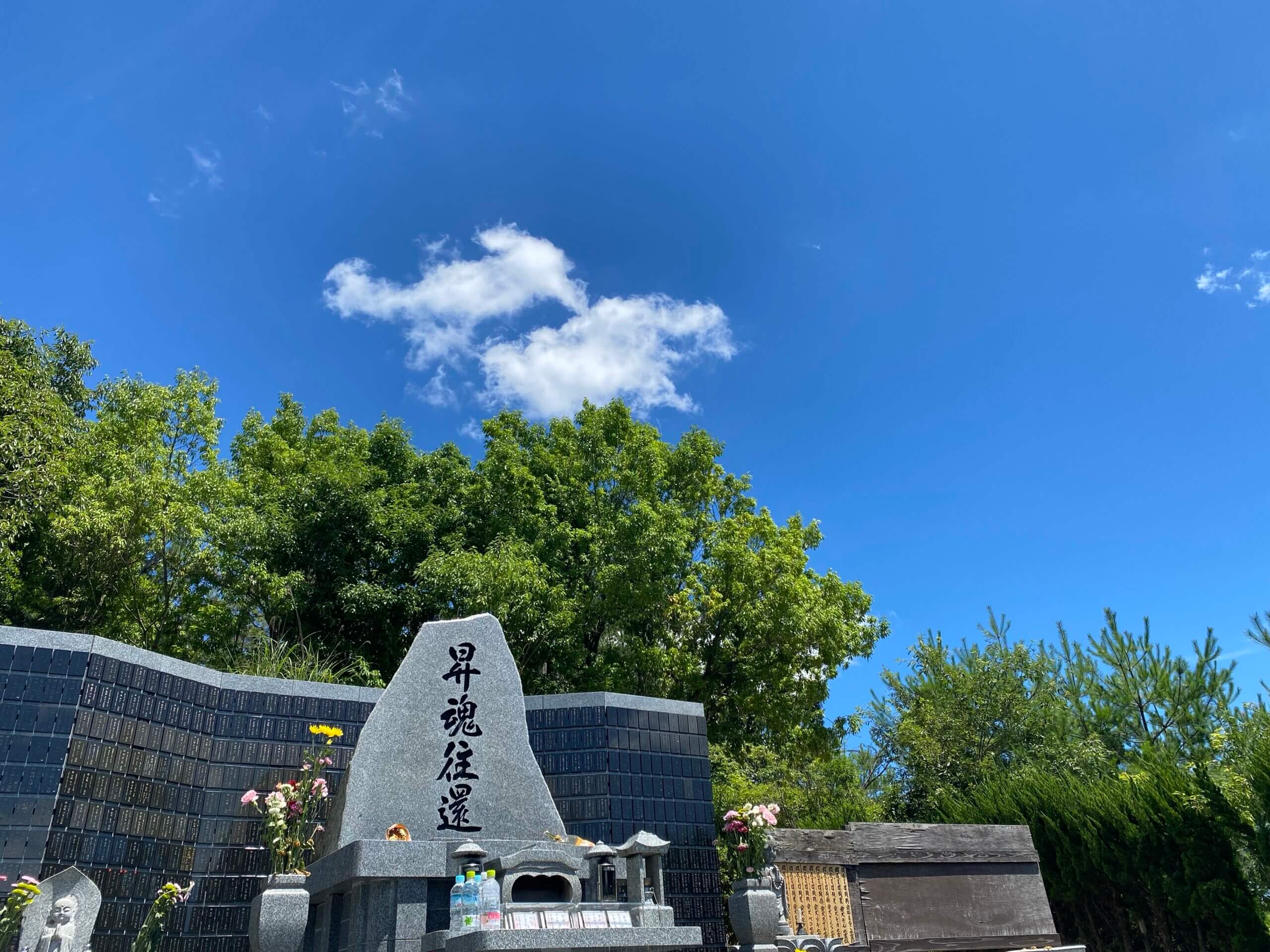 春の逢の杜